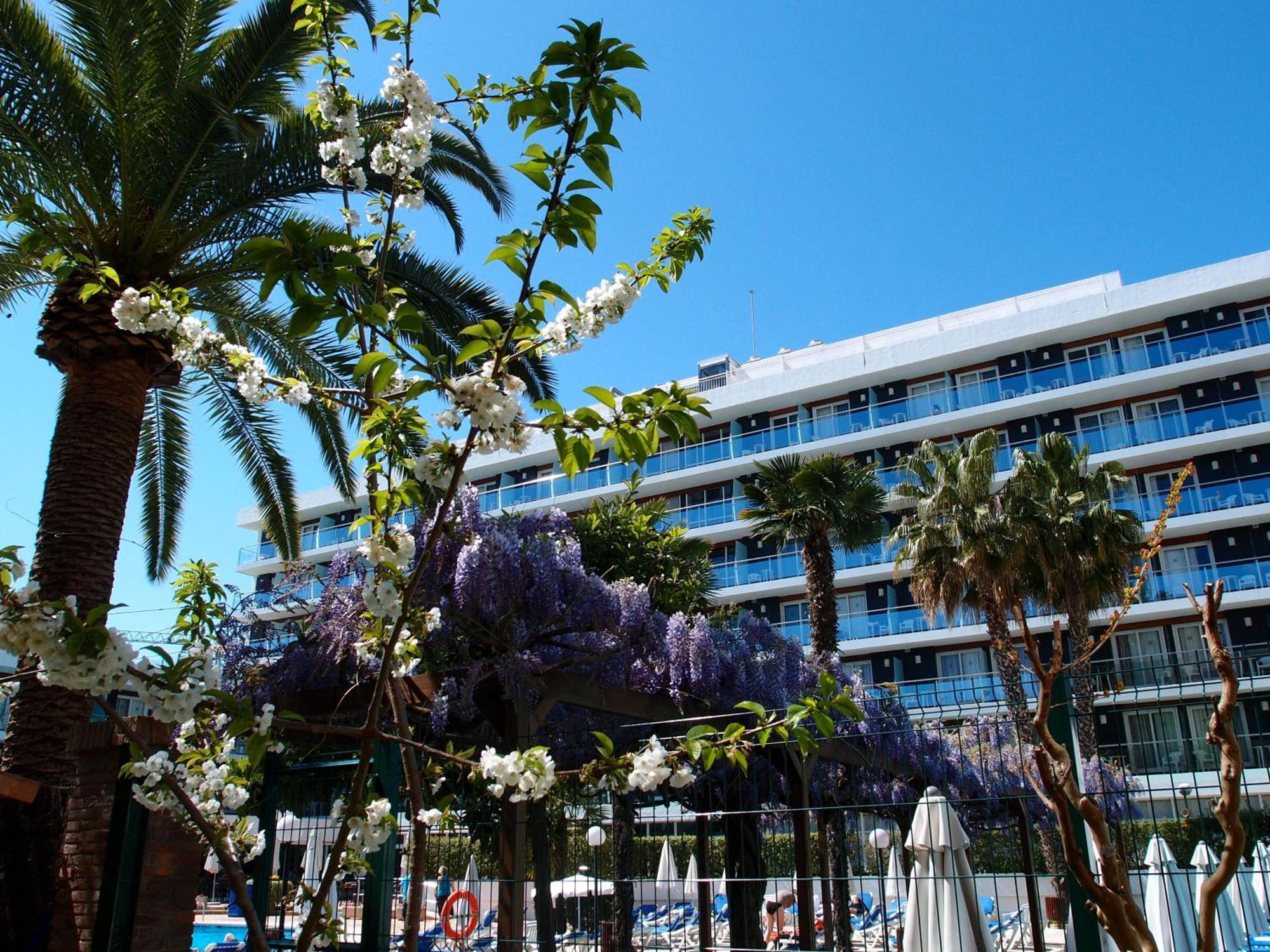 Hotel Anabel Lloret de Mar Dış mekan fotoğraf